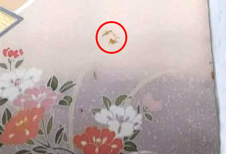 着物シミ抜き事例：再生処理 Before